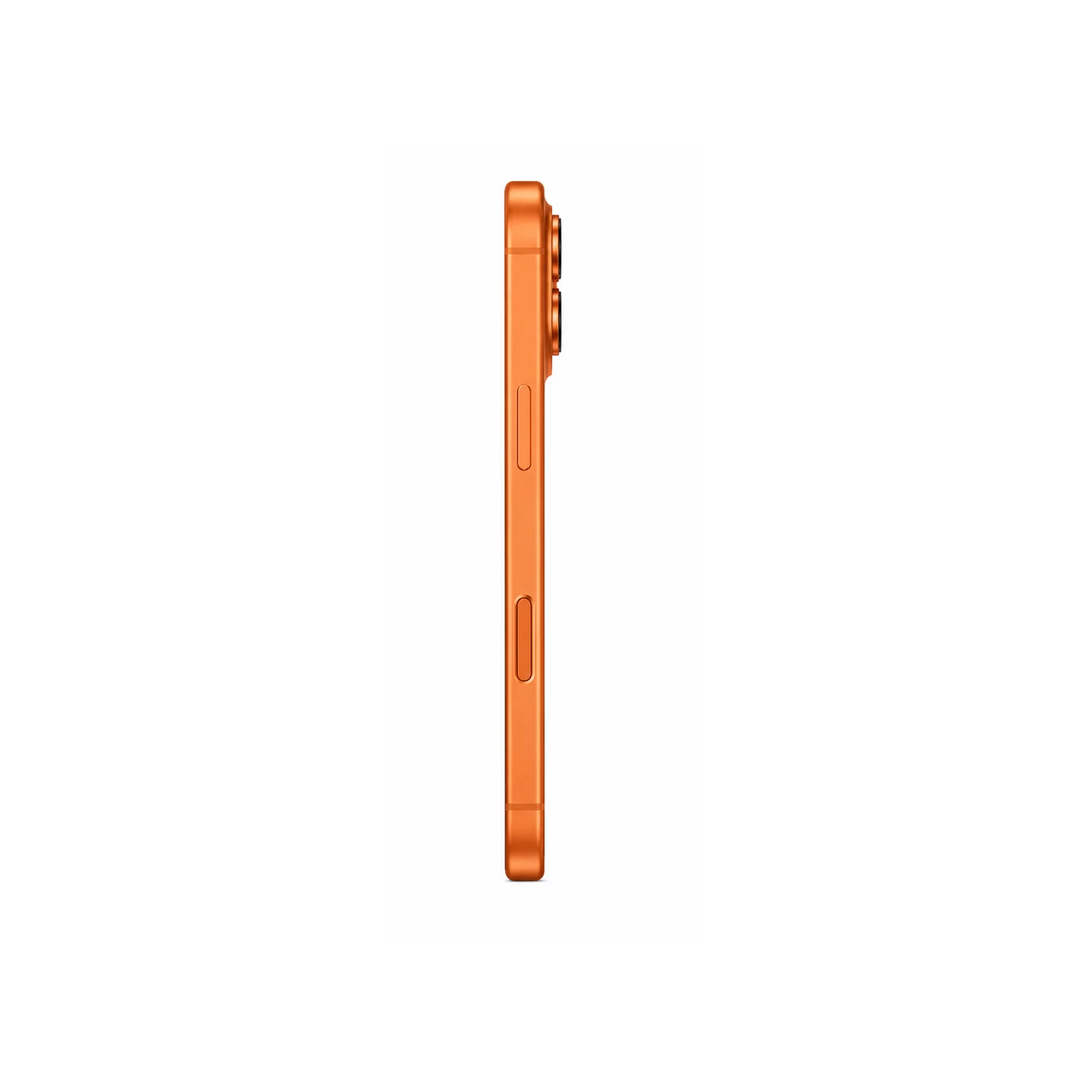 17PM256NNA 03 lateral