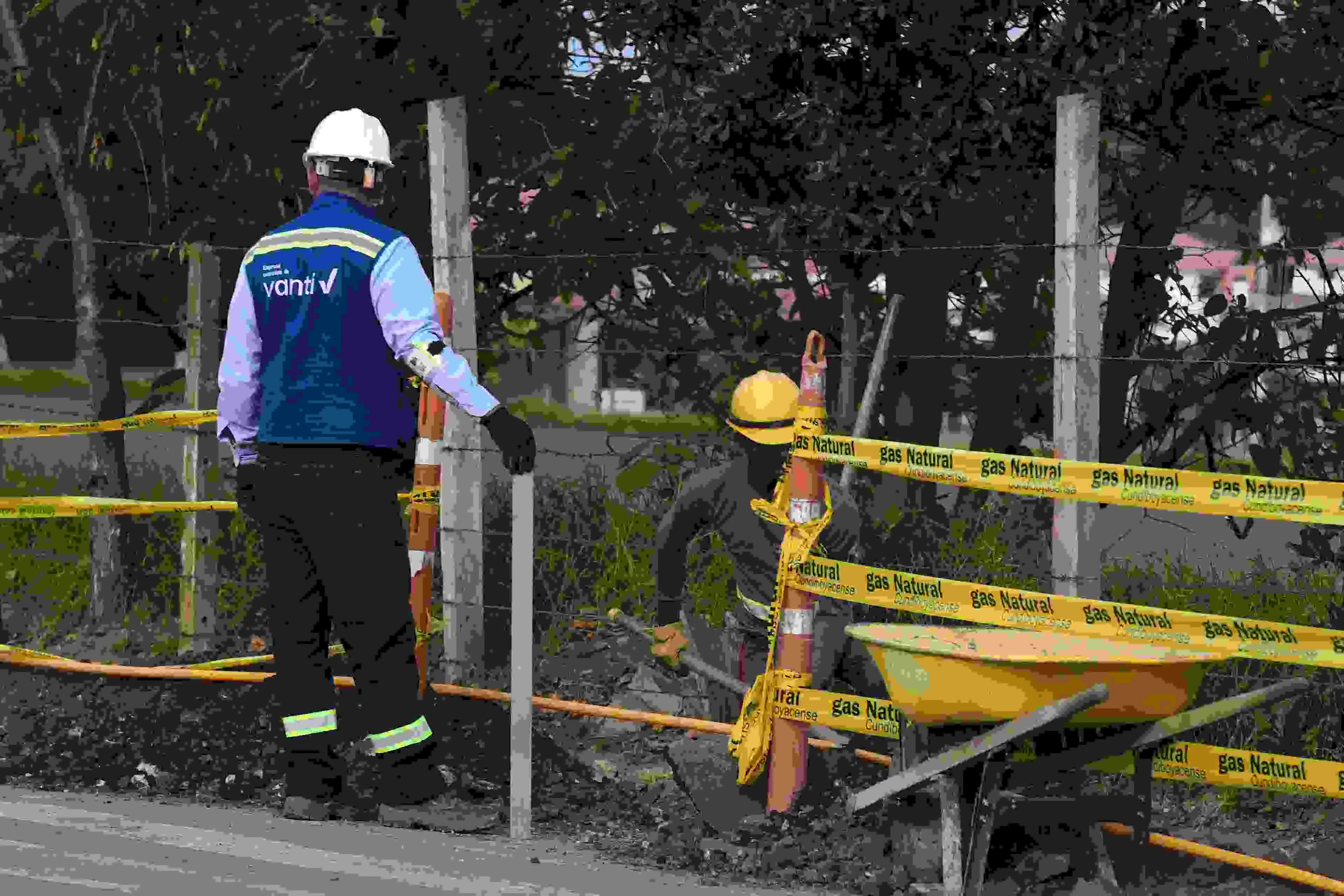 CARD: boletín suspensión el burro 06 de 2024