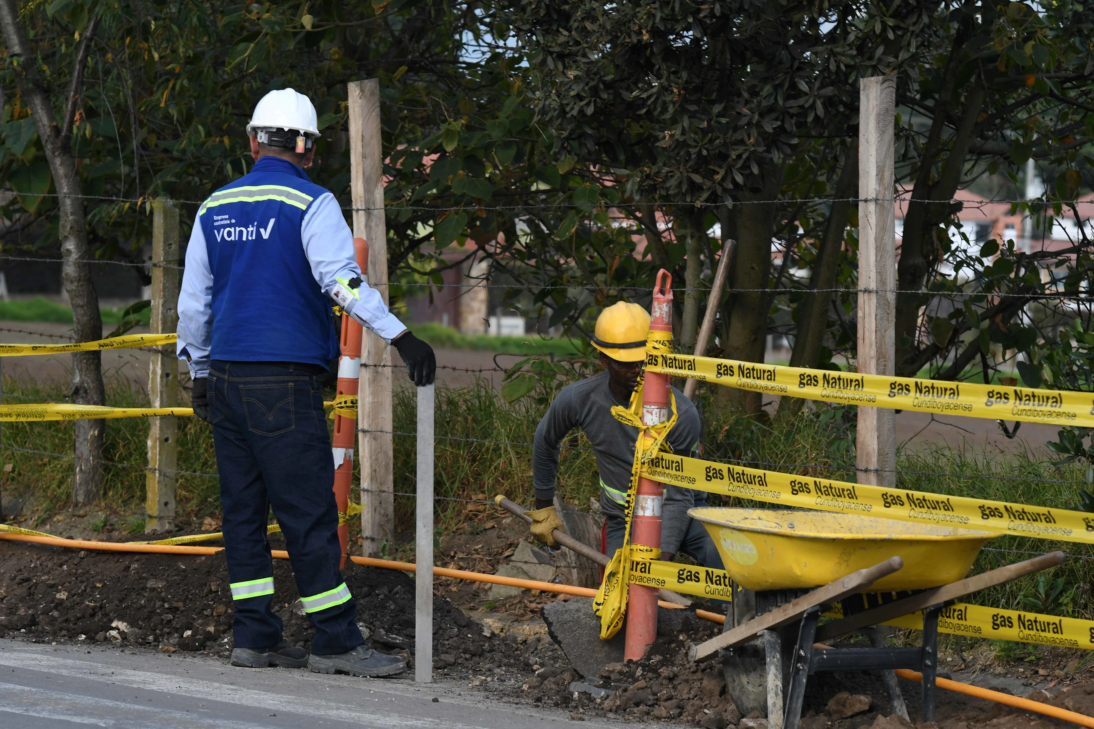 CARD: boletín suspensión el burro 06 de 2024