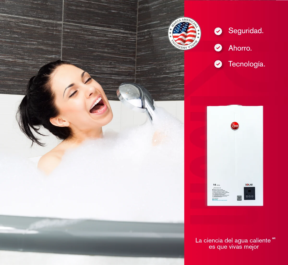 Calentador de paso Rheem