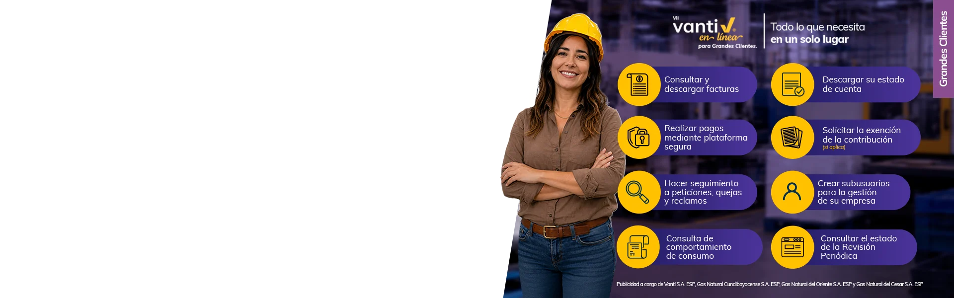 Banner Grandes Clientes 3