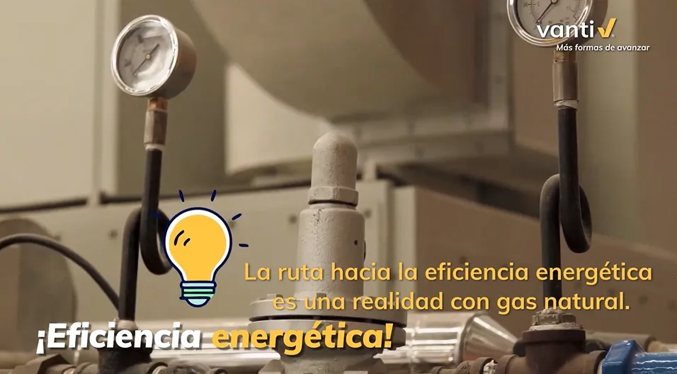 Tarjeta: Permoda