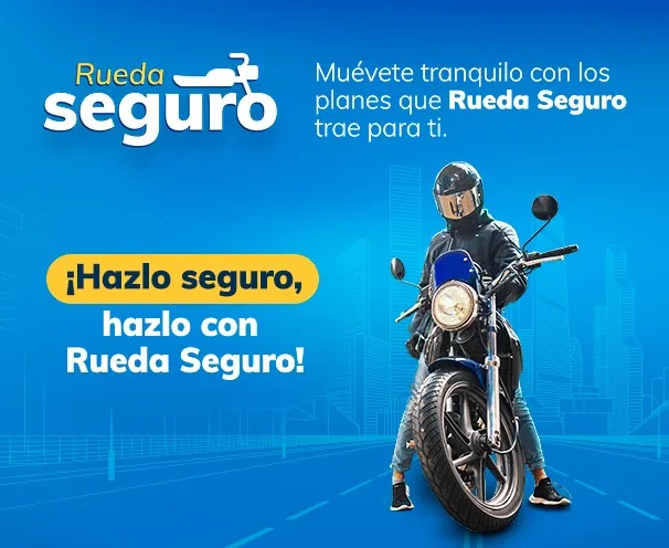 Rueda Seguro CARD2