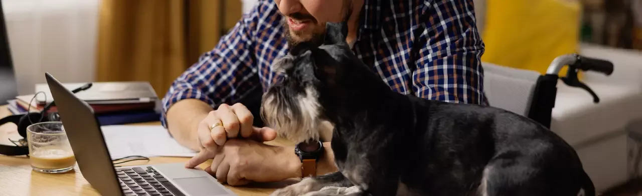 transparencia tramitesyservicios servicescard formatos