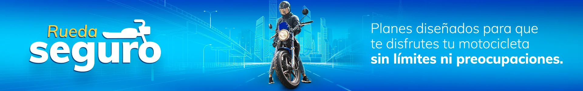 Seguro Rueda seguro: Banner image