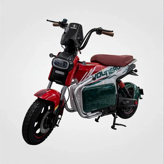 18001868/Voltiero rojo verde 3 1