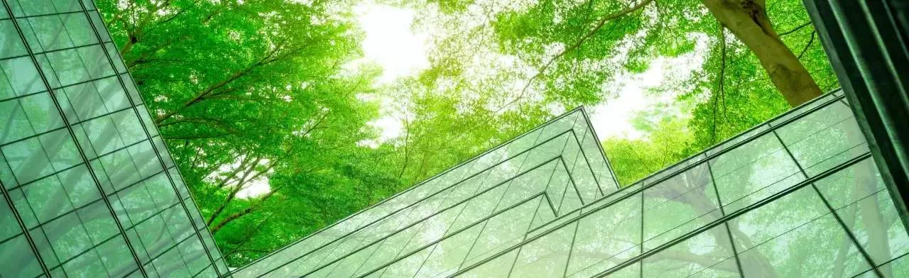 transparencia planeacion serviciosyblogs sostenibilidad