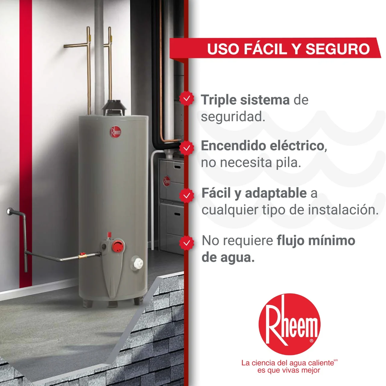 Imagen -4 Calentador 40 Gal