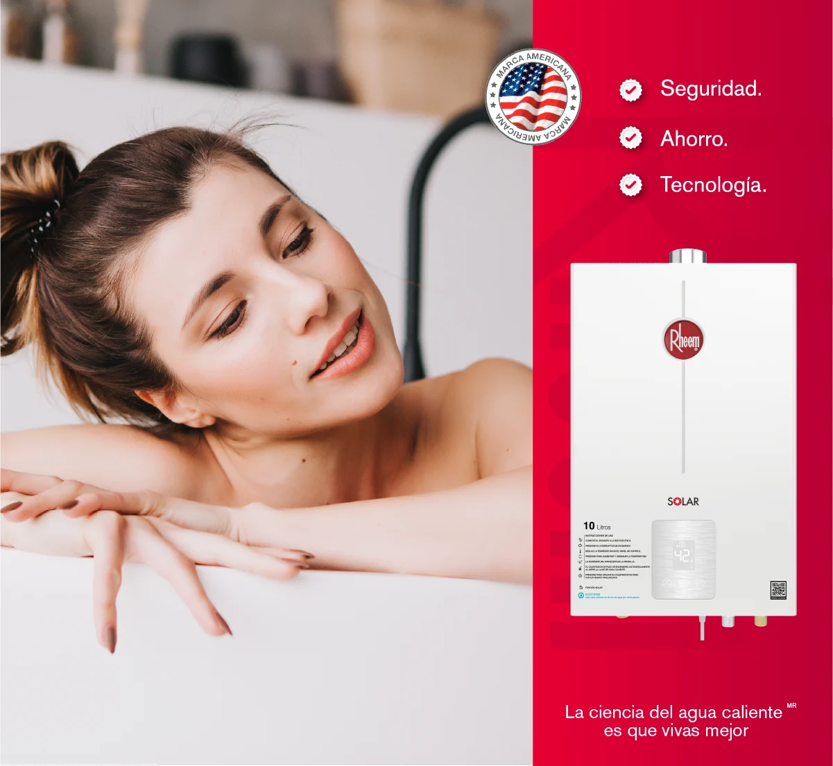 Calentador de agua Rheem 