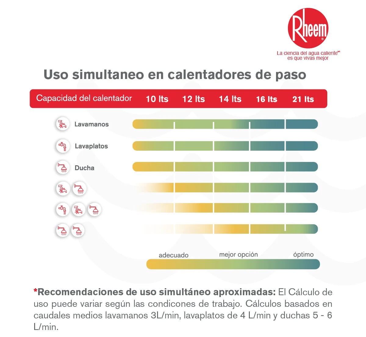 Calentador de paso 10 litros 