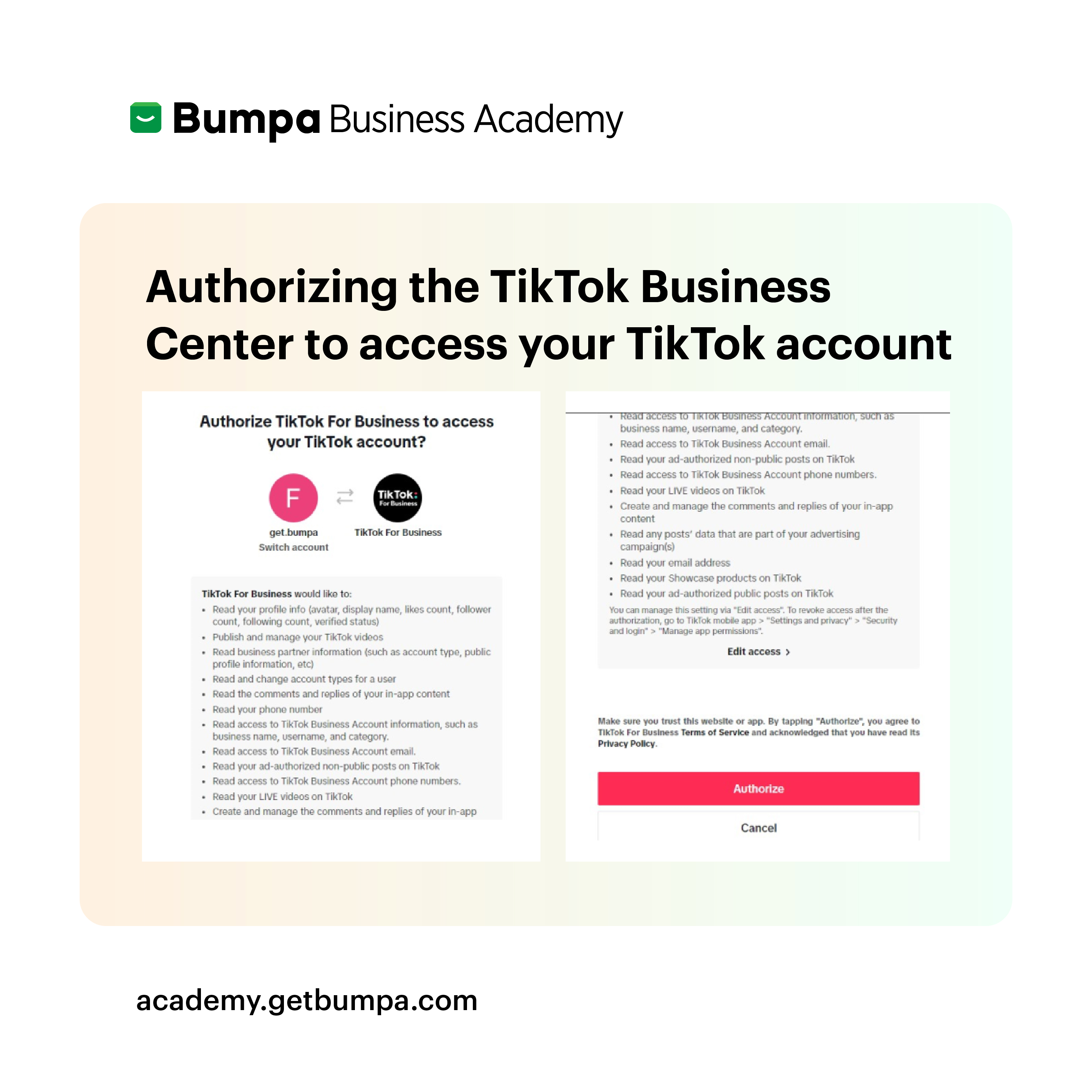 Authorising_Tiktok_Business_Center_Guide