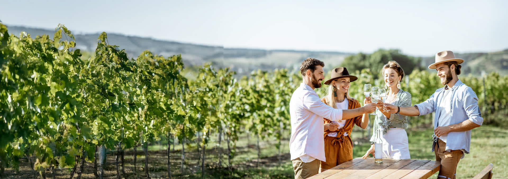 vineyard_hp