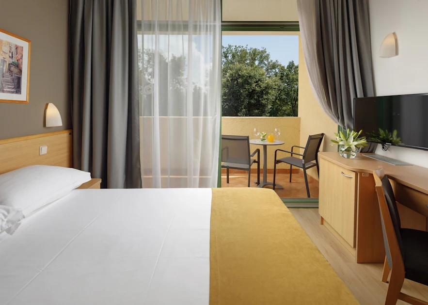 Hotel Aurora Plava Laguna Accommodation units Economy room with french bed and balcony park side