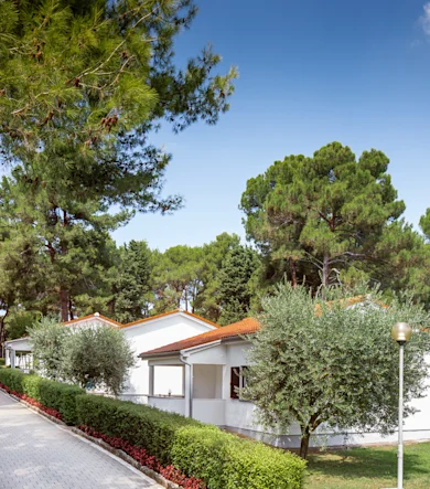 apartments galijot main