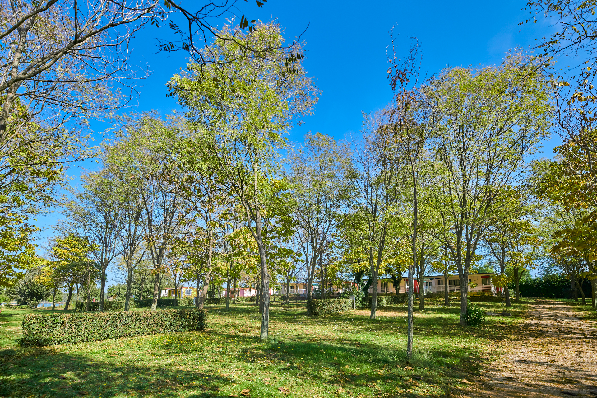 Camping Ulika Pitches Classic Large