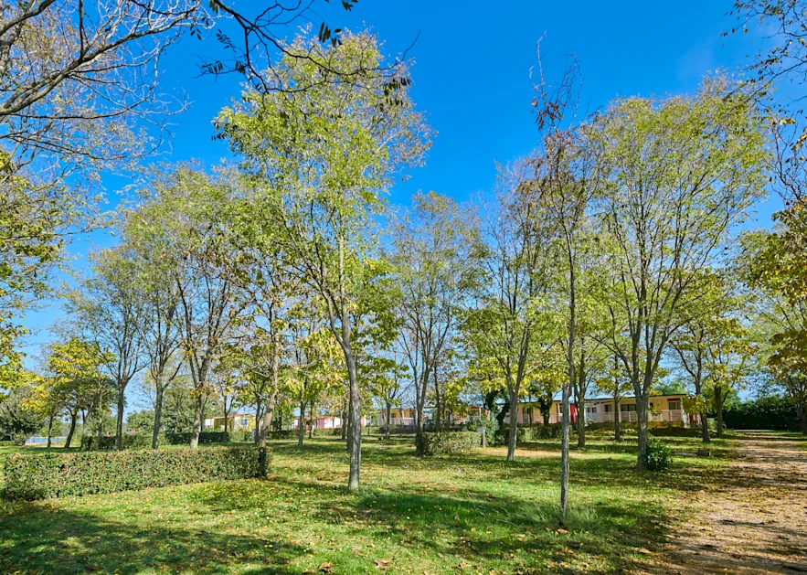 Camping Ulika Pitches Classic Large