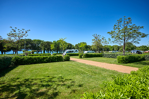 Istra Camping 2024 Camping Park Umag Accommodation units pitches Superior Pitch SP (1)