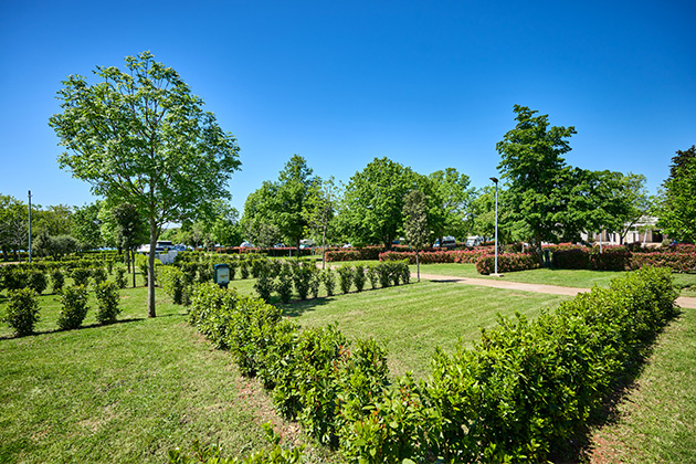 Istra Camping 2024 Camping Park Umag Accommodation units pitches Superior Pitches SP (4)