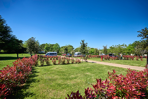 Istra Camping 2024 Camping Park Umag Accommodation units pitches Classic Plus Pitches CLP (8)