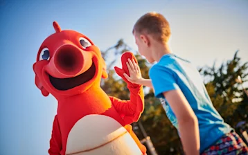 Apartments Amfora Activities&Experiences