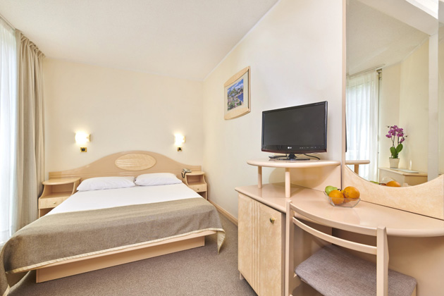 Economy room with french bed park side - single use