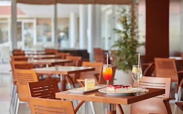 hotel-albatros-plava-laguna-restaurants-and-bars-bar