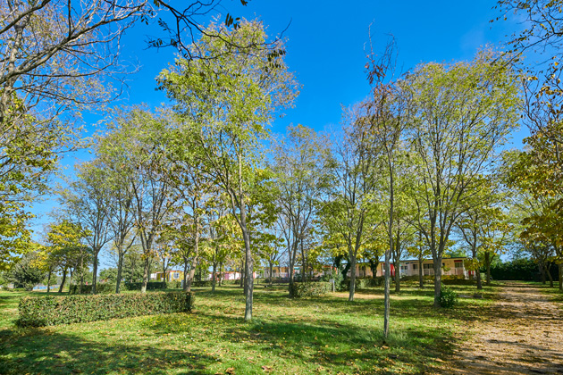 Istra Camping Camping Ulika 2019 Pitches Double Pitch