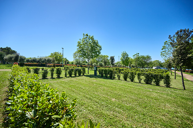 Istra Camping 2024 Camping Park Umag Accommodation units pitches Superior Pitches SP (3)