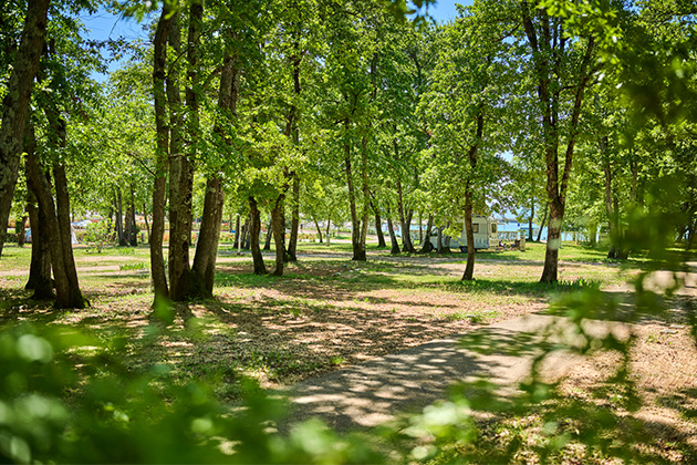 Istra Camping 2024 Camping Park Umag Accommodation units pitches Classic Pitch CP (2)