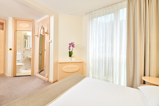 Hotel Istra Plava Laguna Economy Room with french bed2