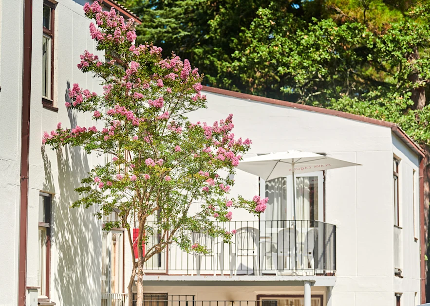 apartments-astra-plava-laguna-landscape-entrance
