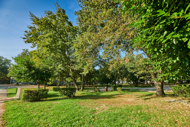 Istra Camping Camping Bijela Uvala 2019 Pitches Classic Zone C (2)