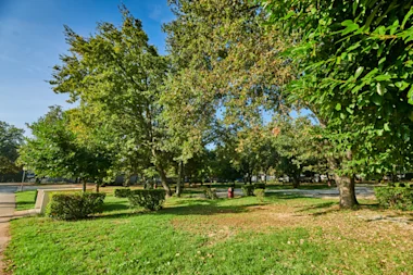 Istra Camping Camping Bijela Uvala 2019 Pitches Classic Zone C (2)