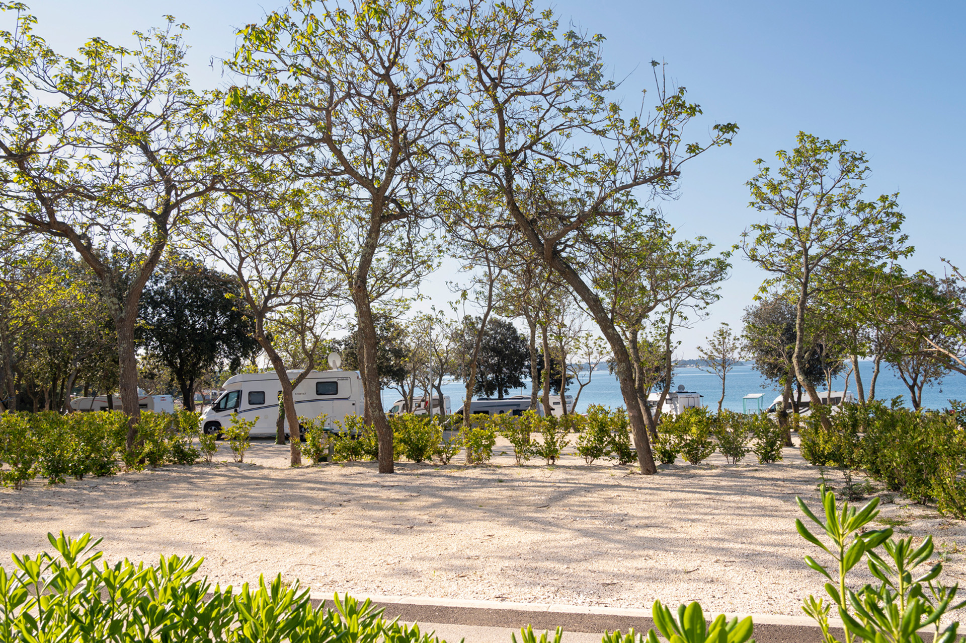 camping ulika pitches superior mare spm 2025 8 (5)