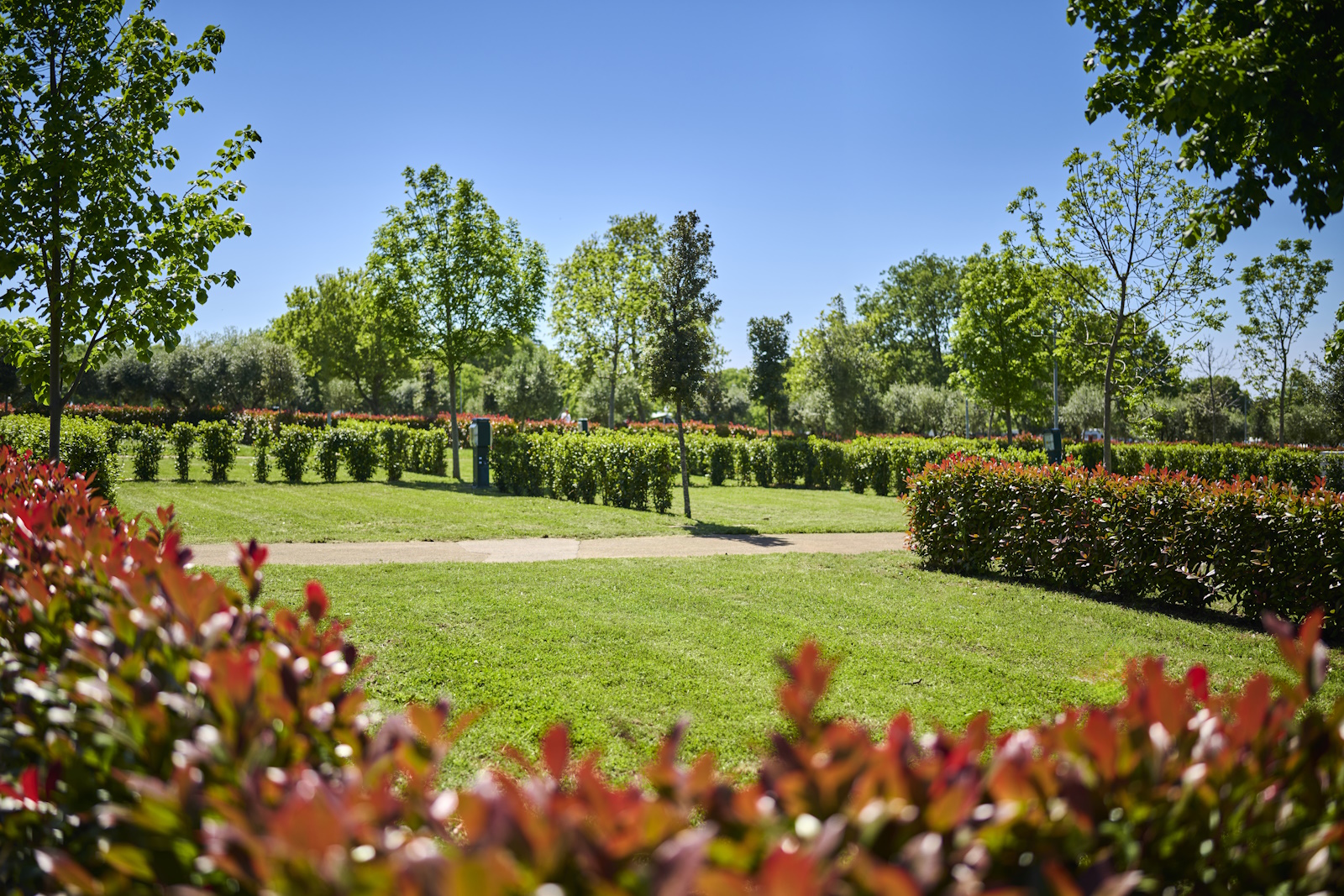 Camping Park Umag pitches 3