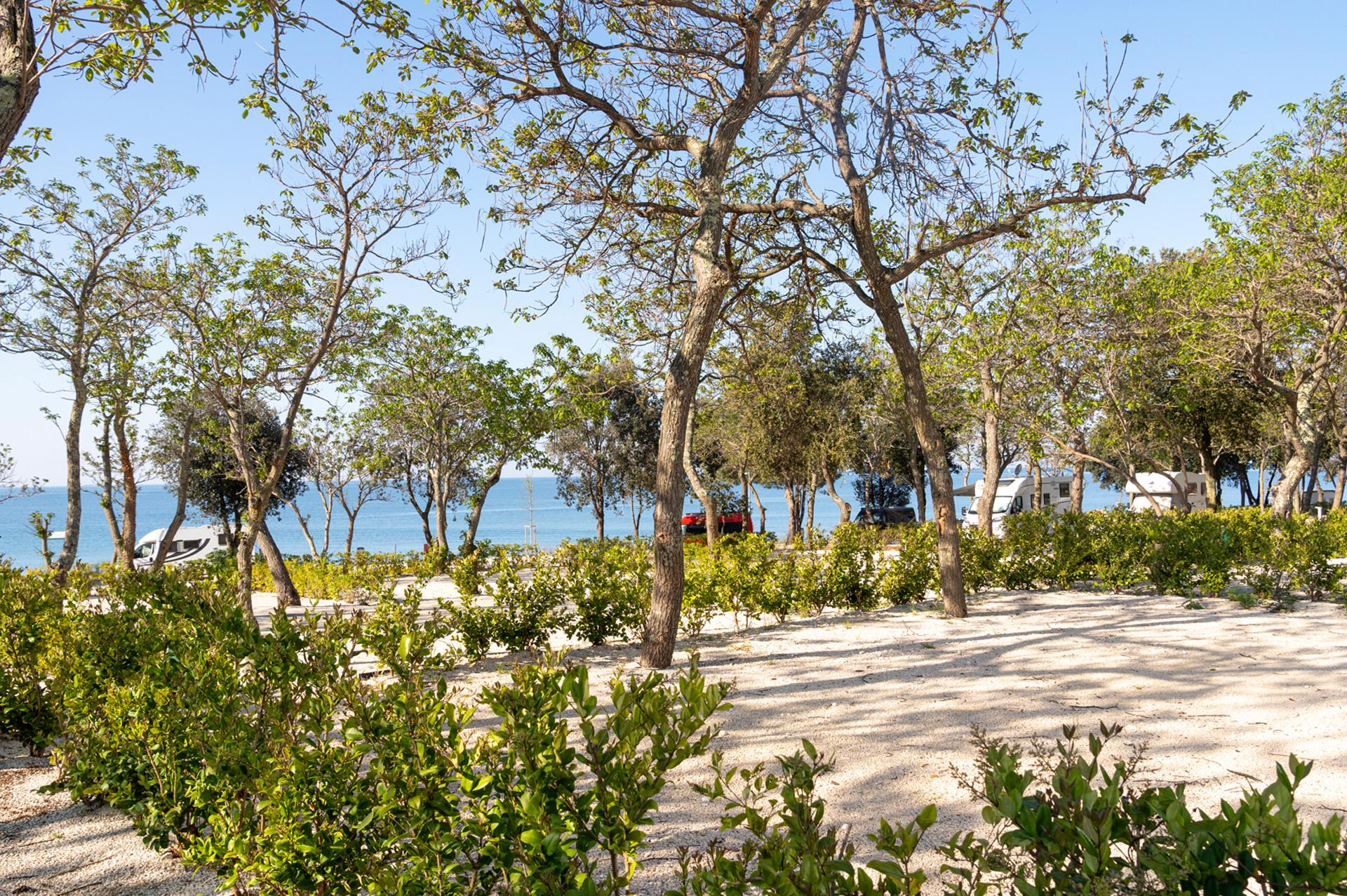 camping ulika pitches superior mare spm 2025 8 (7)