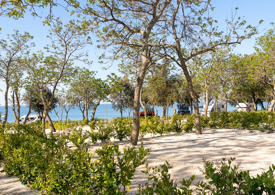 camping ulika pitches superior mare spm 2025 8 (7)