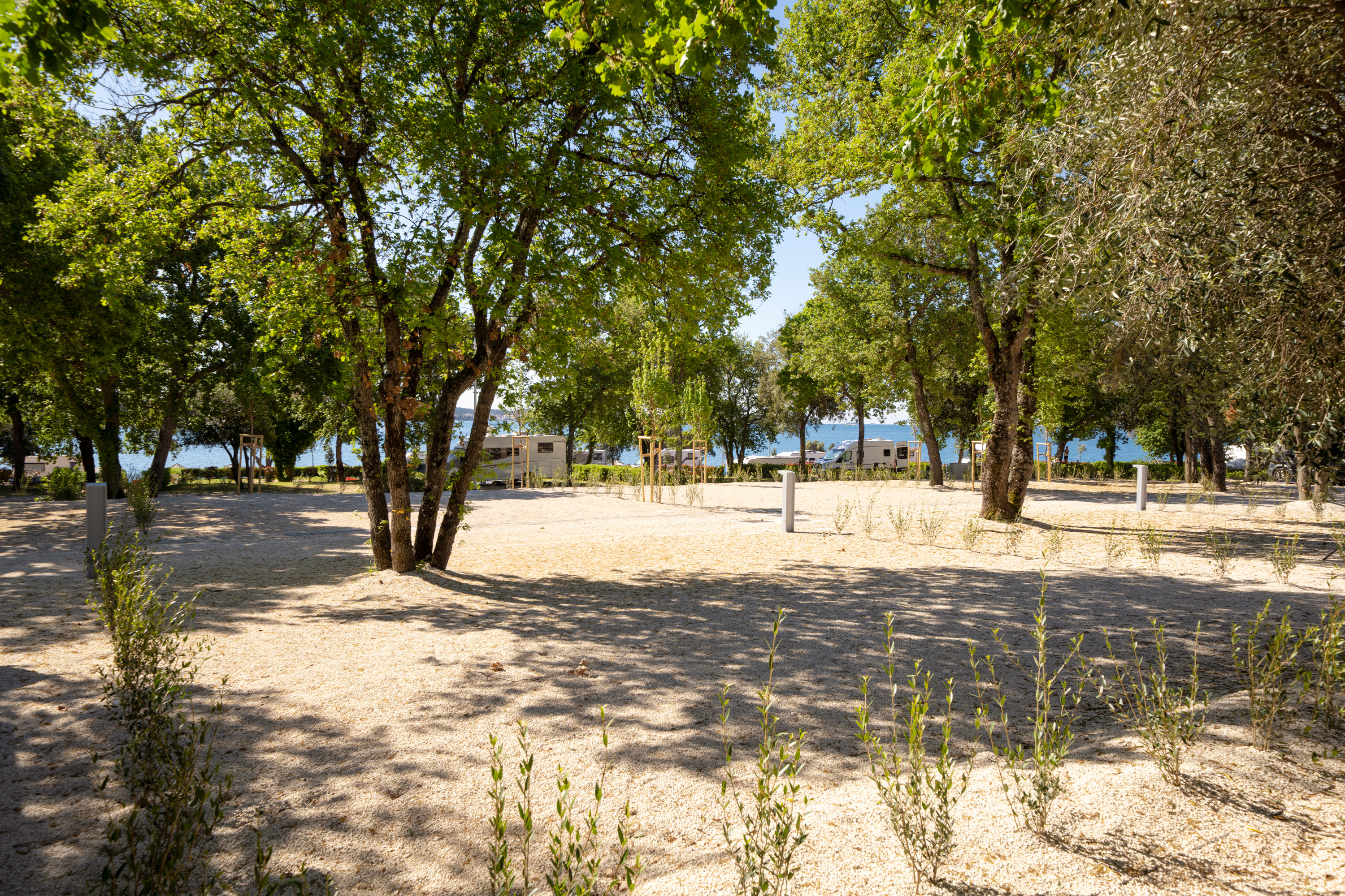 Superior pitch/ 0022 141342 Camping Ulika Istra Camping 2026 pitches Superior SP (3) 9386x6257