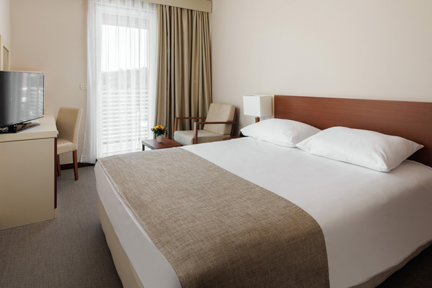 Hotel Albatros 2025 Classic room with French bed and Balcony C2BF (8)