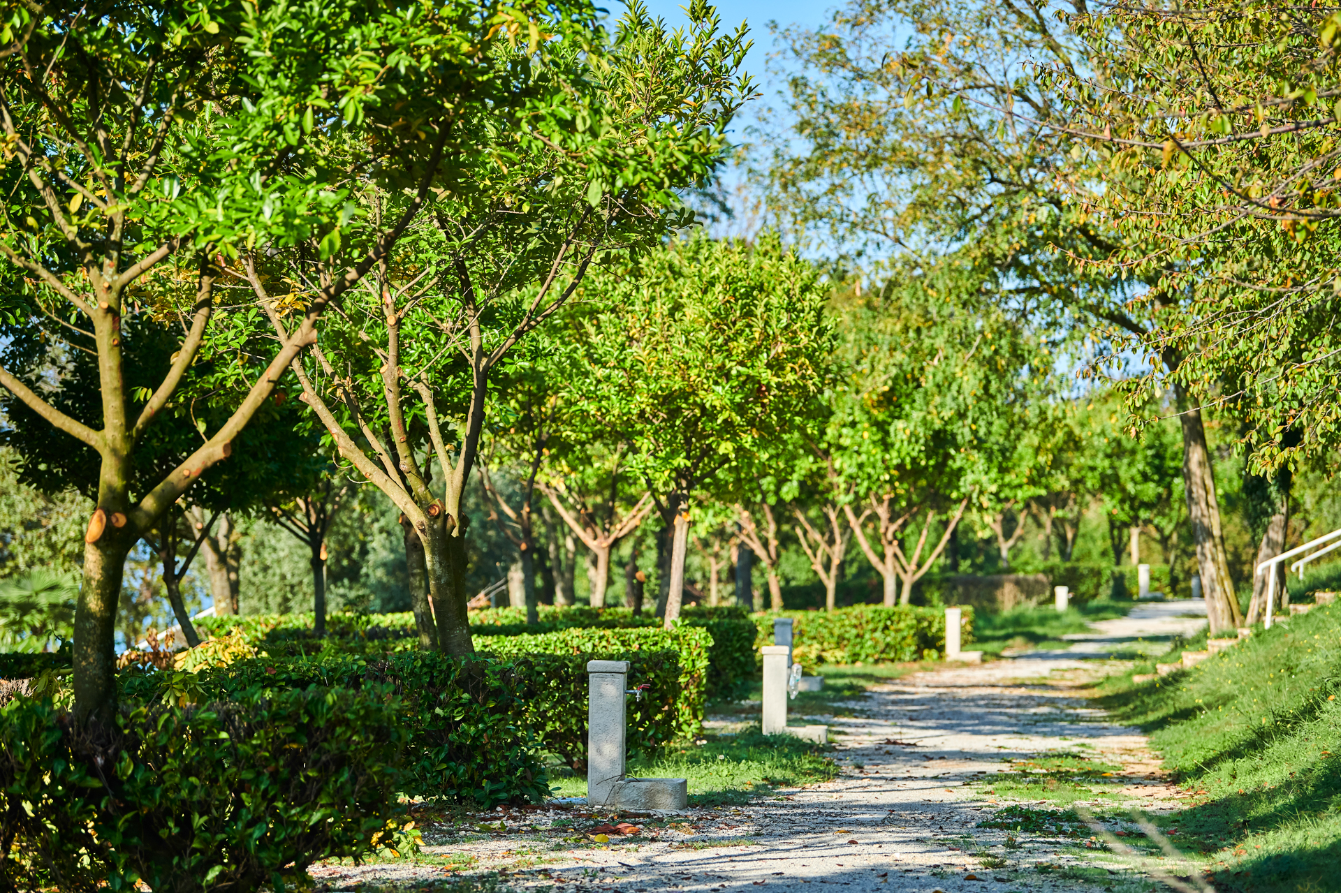 Istra Camping Camping Bijela Uvala Pitches Classic Zone B