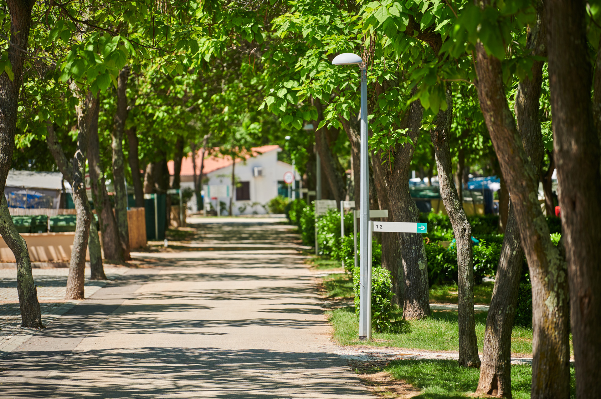 camping-puntica-description