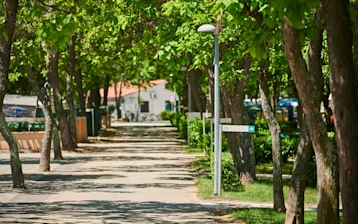 camping-puntica-description
