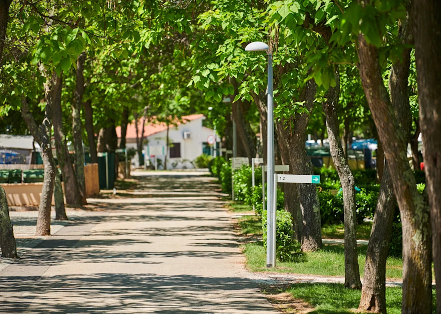 camping-puntica-description