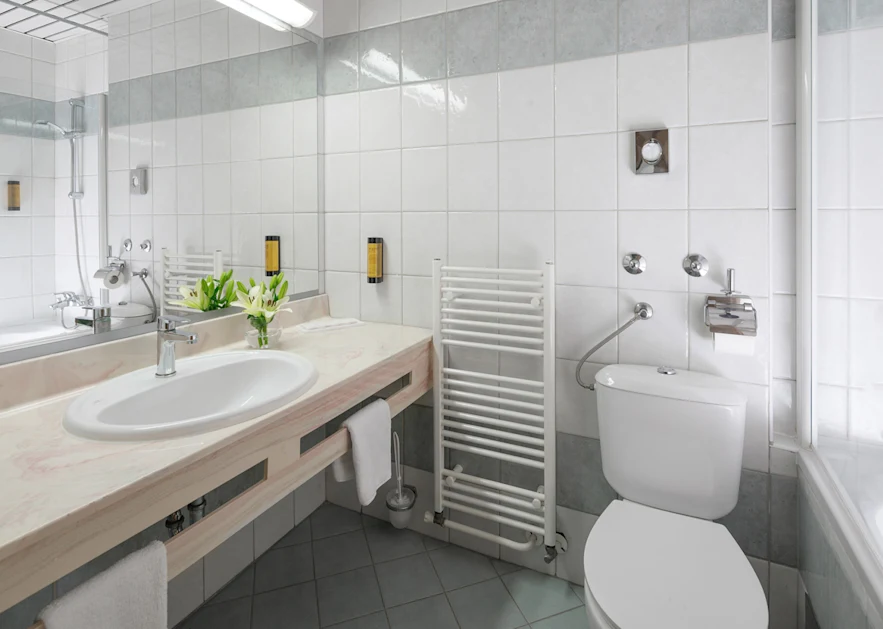 Hotel Aurora Plava Laguna Accommodation units bathroom
