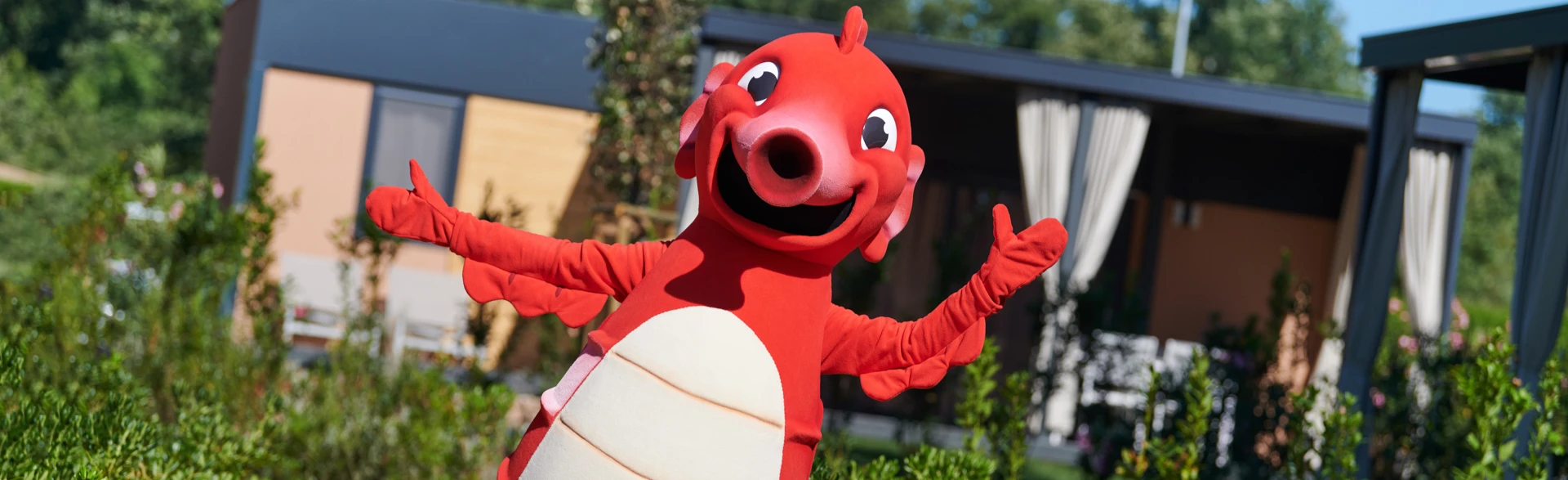 Campsites Park Umag - Activities n Fun