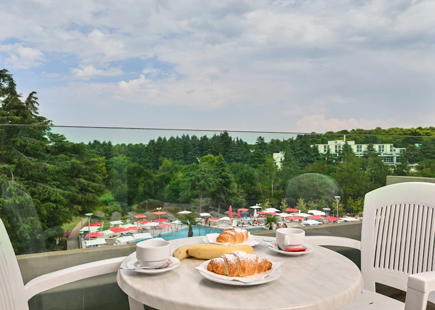 hotel-mediteran-plava-laguna-classic-room-with-balcony-park-side