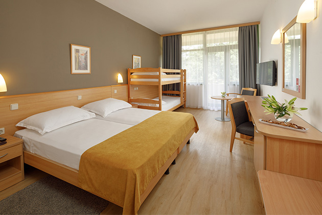 Hotel Aurora classic with balcony family 2