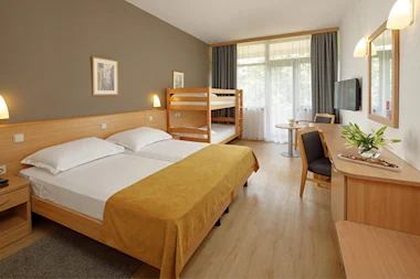 Hotel Aurora classic with balcony family 2