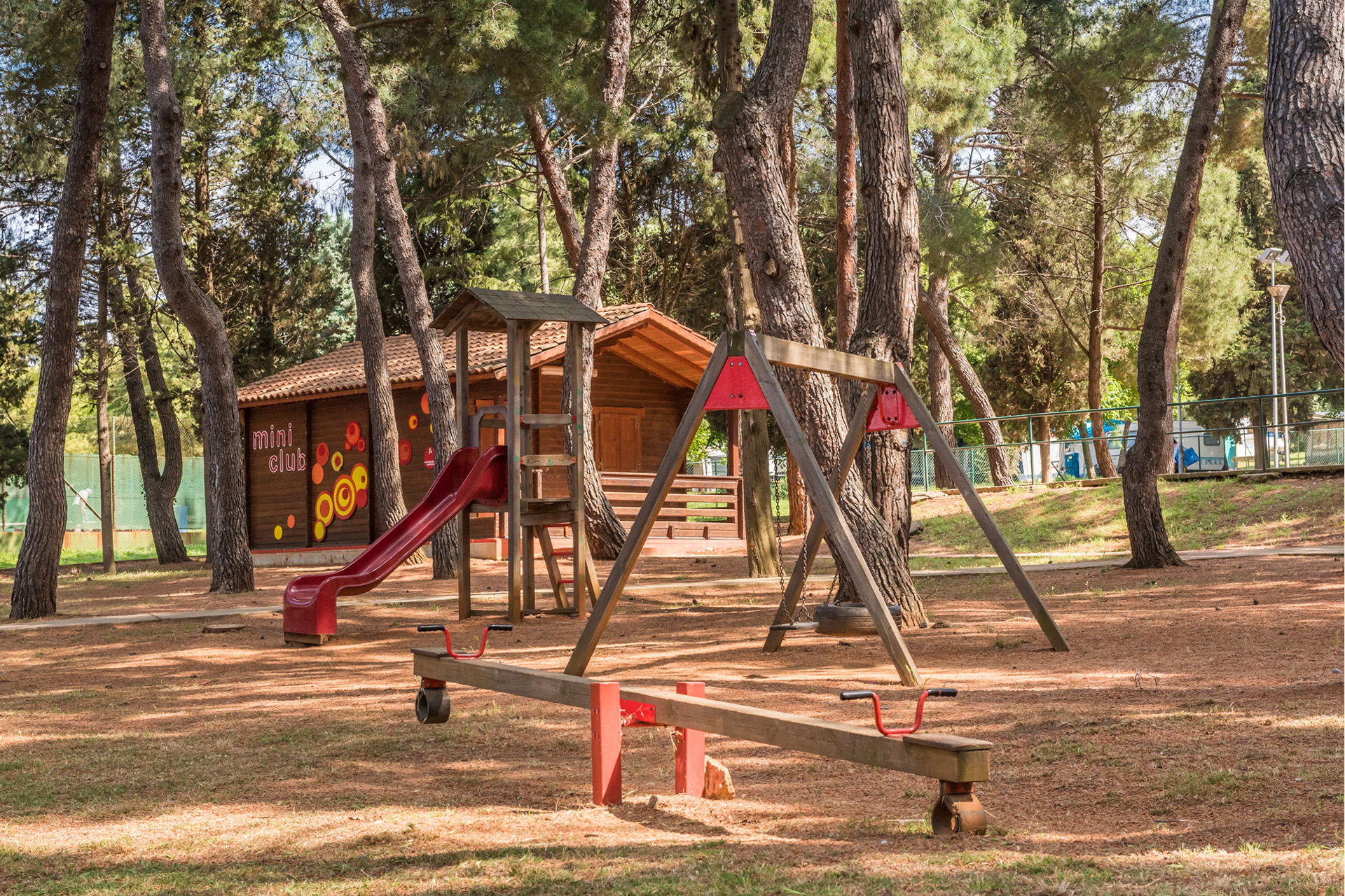 camping savudrija - activities & experiences