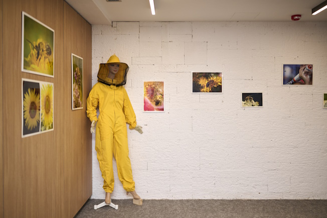 BEE SWEET TO THE BEES 2025 SAVE THE BEES Photo exhibition 18 652x435 (1)